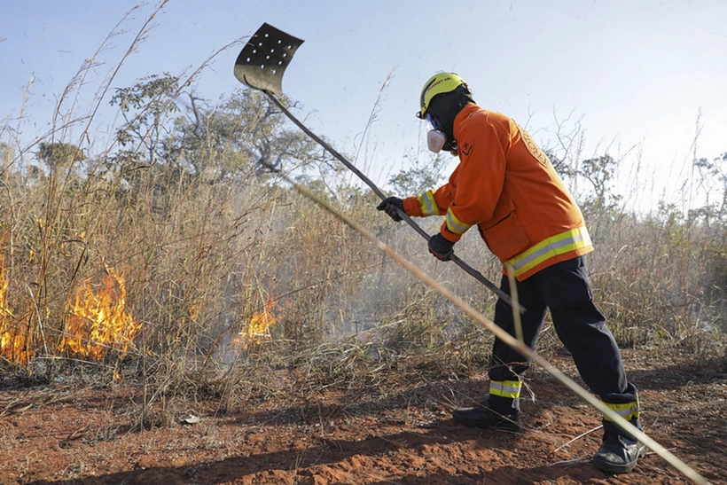 Imagem de capa de O Impacto Econômico das Mudanças Climáticas